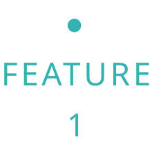 海藻のイメージ